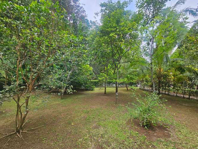 TERRENO EN VENTA EN ÁREAS REVERTIDAS DEL CANAL DE PANAMÁ | 1,221.81 m² | $496,232 - Imagen 13
