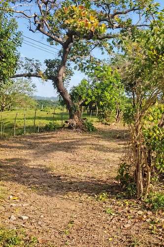 Terreno de 5,000 m² en Capira – Ideal para inversión o vivienda - Imagen 1