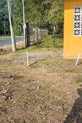 Terreno de 5,000 m² en Capira – Ideal para inversión o vivienda - Imagen 3
