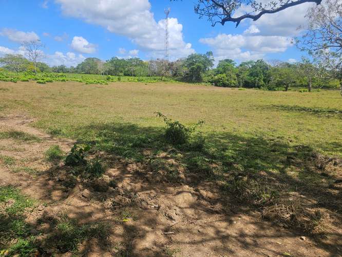 Terreno de 5,000 m² en Capira – Ideal para inversión o vivienda - Imagen 11