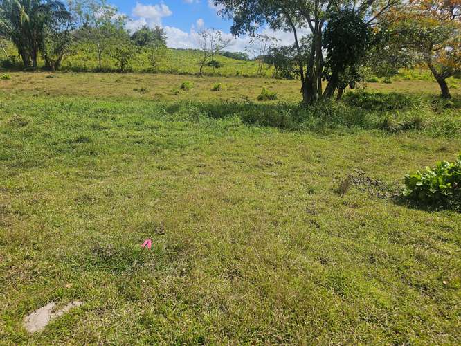 Terreno de 5,000 m² en Capira – Ideal para inversión o vivienda - Imagen 10