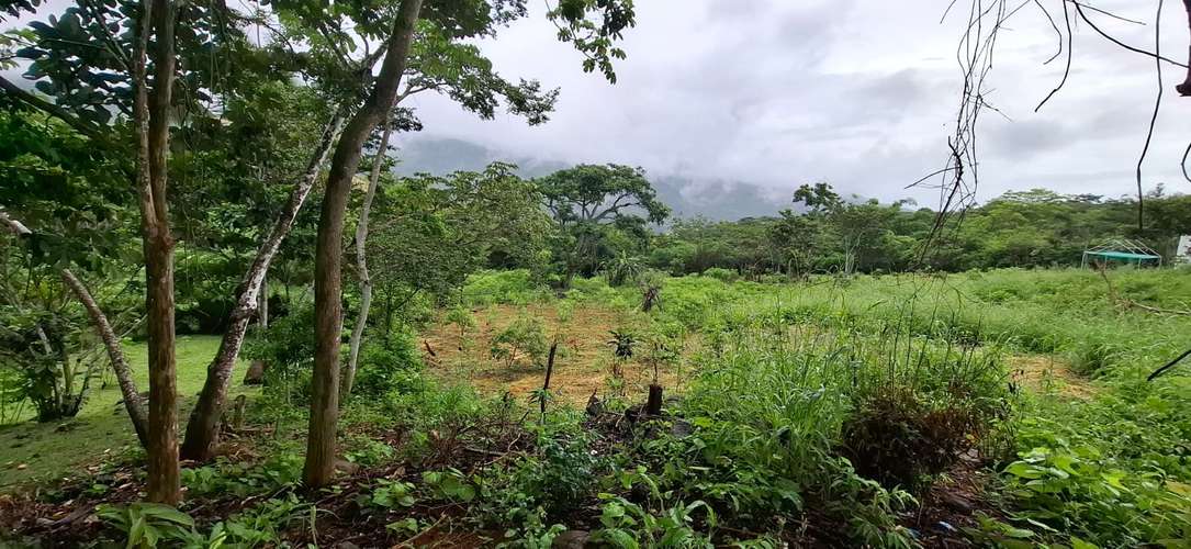 Terreno en Sora, Chame – 4500 m² por $97,000 - Imagen 6