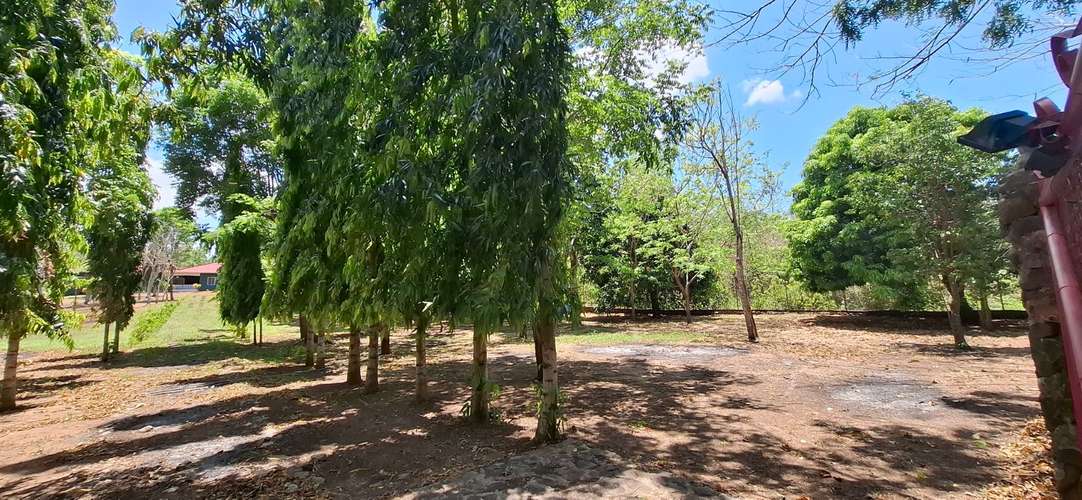 2 Hectáreas de Terreno con Residencia Estilo Villa, Ideal para Inversión Recreacional - Imagen 5