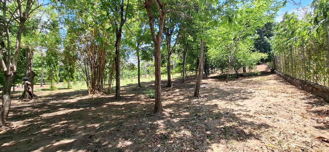 2 Hectáreas de Terreno con Residencia Estilo Villa, Ideal para Inversión Recreacional - Imagen 4