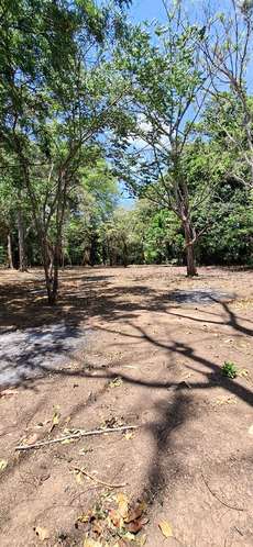 2 Hectáreas de Terreno con Residencia Estilo Villa, Ideal para Inversión Recreacional - Imagen 7
