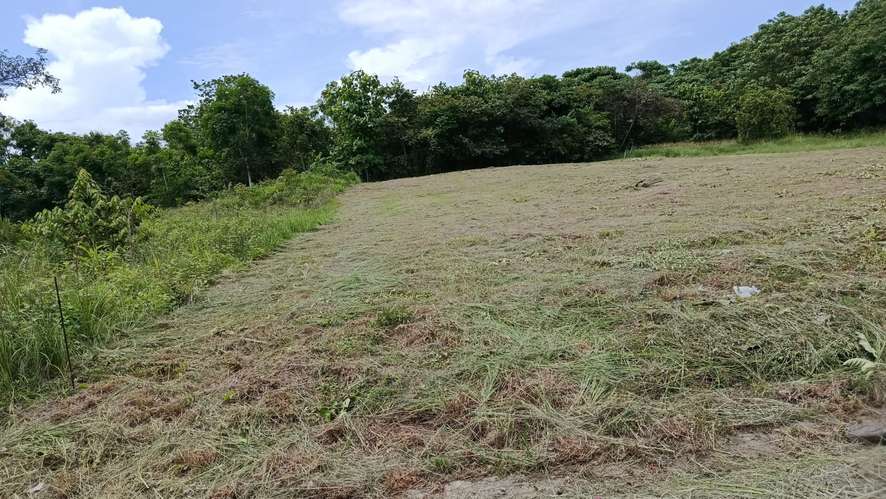 Se vende terreno en Coronado de 1256 m2 en el Paseo El Galeón, - Imagen 3