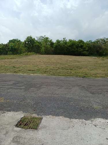 Se vende terreno en Coronado de 1256 m2 en el Paseo El Galeón, - Imagen 4