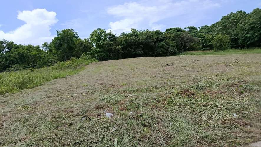 Se vende terreno en Coronado de 1256 m2 en el Paseo El Galeón, - Imagen 2
