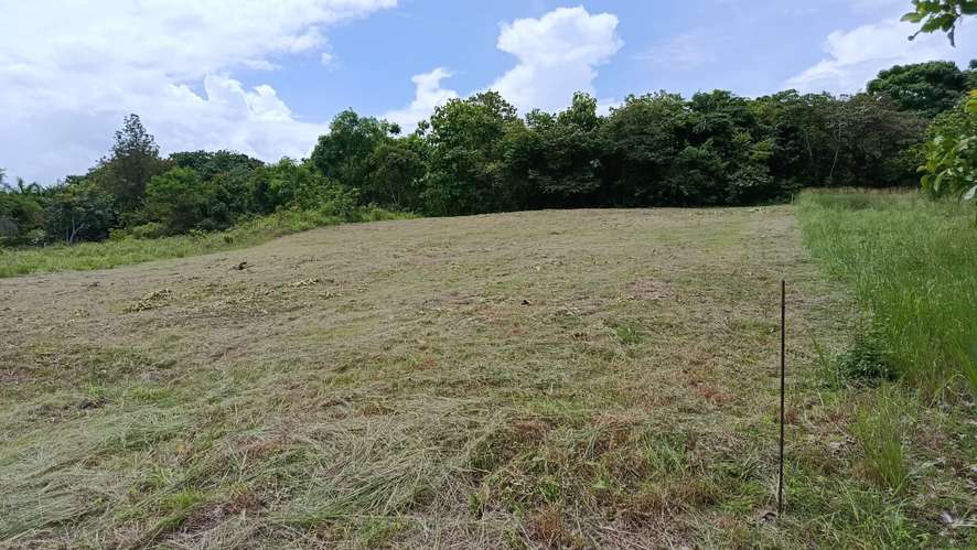 Se vende terreno en Coronado de 1256 m2 en el Paseo El Galeón,