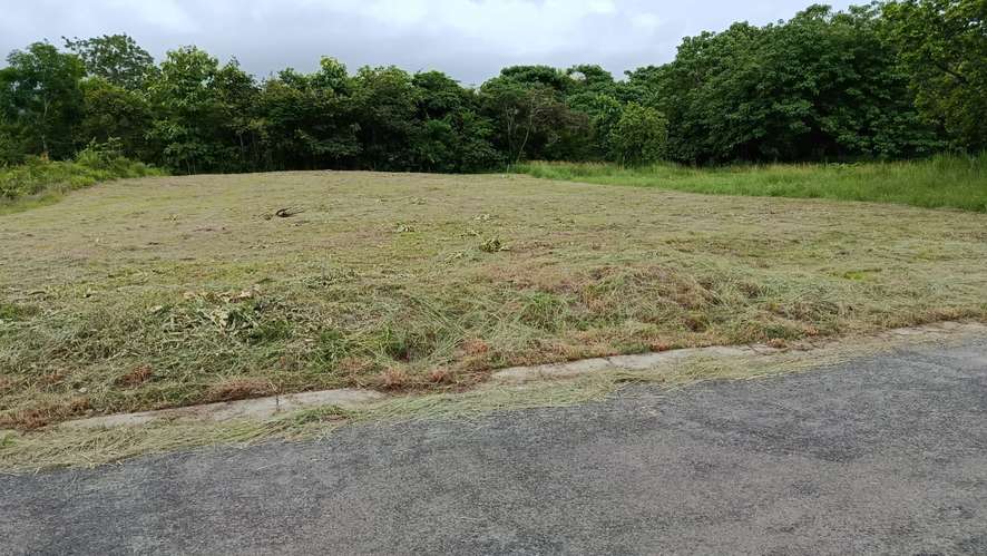 Se vende terreno en Coronado de 1256 m2 en el Paseo El Galeón, - Imagen 5