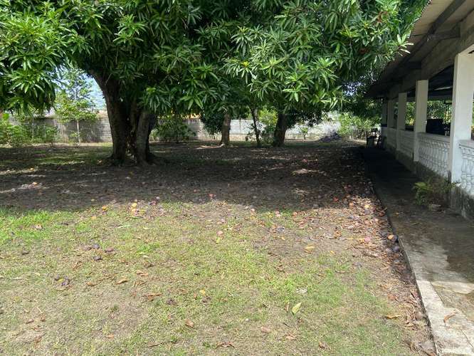  OPORTUNIDAD PROPIEDAD EN  GORGONA  - Imagen 9