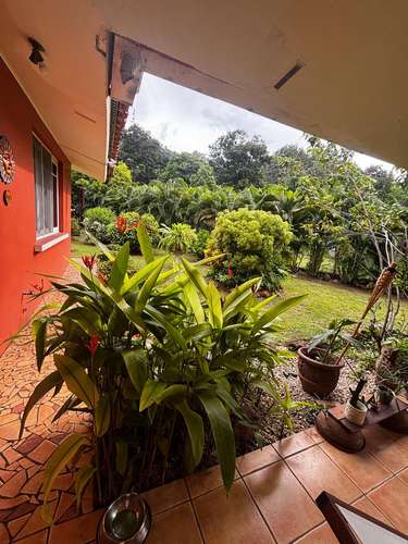 Alquilo espectacular casa en Clayton  - Imagen 8