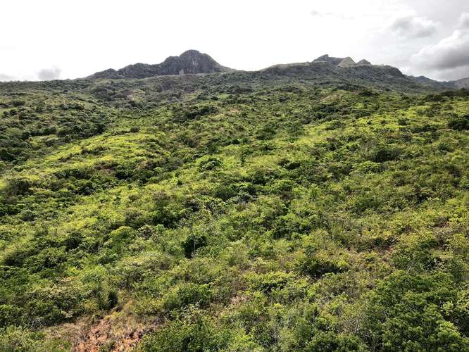 Terreno de Montaña en Santa Fe Panamá
