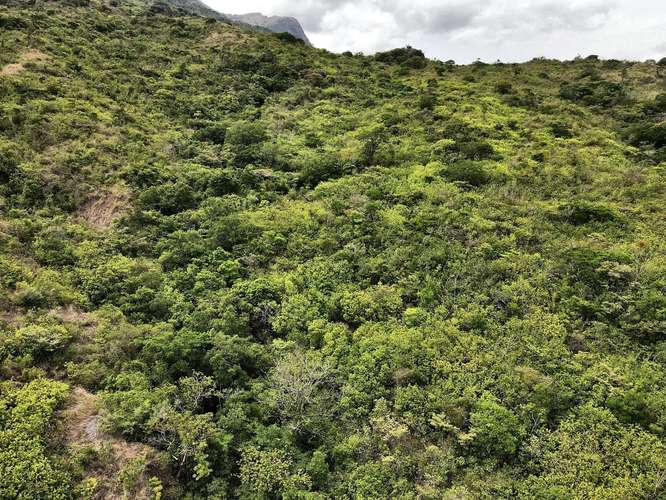 Terreno de Montaña en Santa Fe Panamá