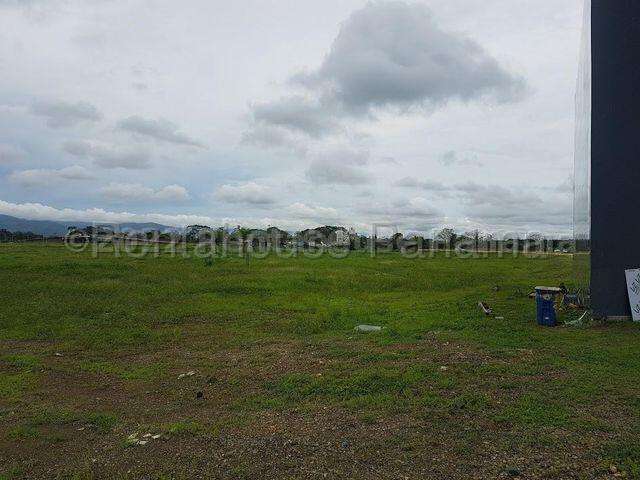 ALQUILER DE GALERA EN TOCUMEN ESM - Imagen 2