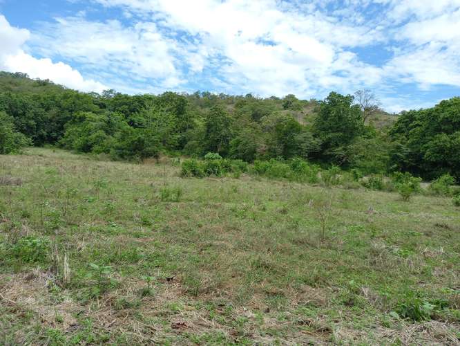 $828,000 SE VENDE FINCA DE 202 HECTAREAS EN ARENA PROVINCIA DE VERAGUAS JL