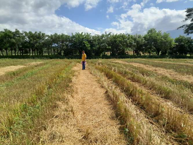 $828,000 SE VENDE FINCA DE 202 HECTAREAS EN ARENA PROVINCIA DE VERAGUAS JL