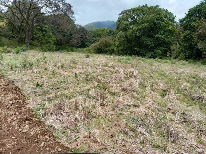 $828,000 SE VENDE FINCA DE 202 HECTAREAS EN ARENA PROVINCIA DE VERAGUAS JL
