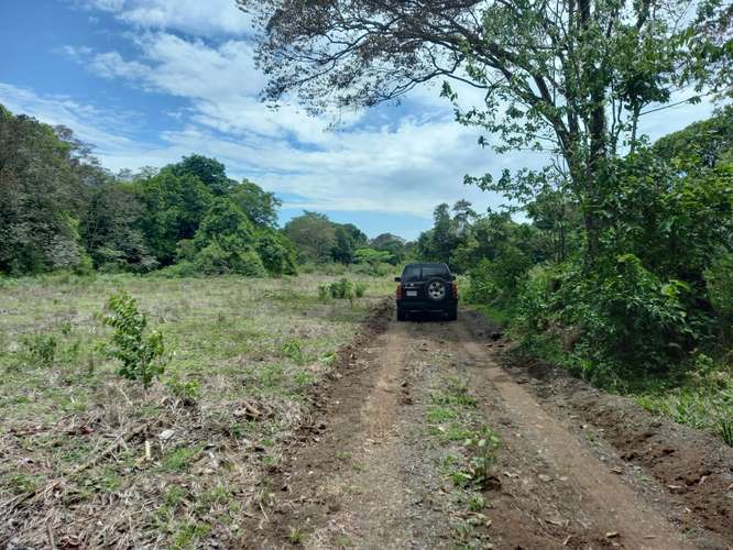 $828,000 SE VENDE FINCA DE 202 HECTAREAS EN ARENA PROVINCIA DE VERAGUAS JL