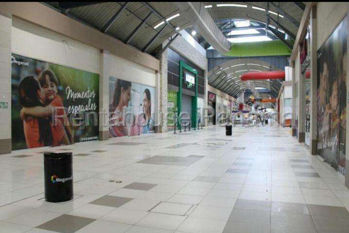 VENTA DE GALERA EN TOCUMEN ESM - Imagen 2