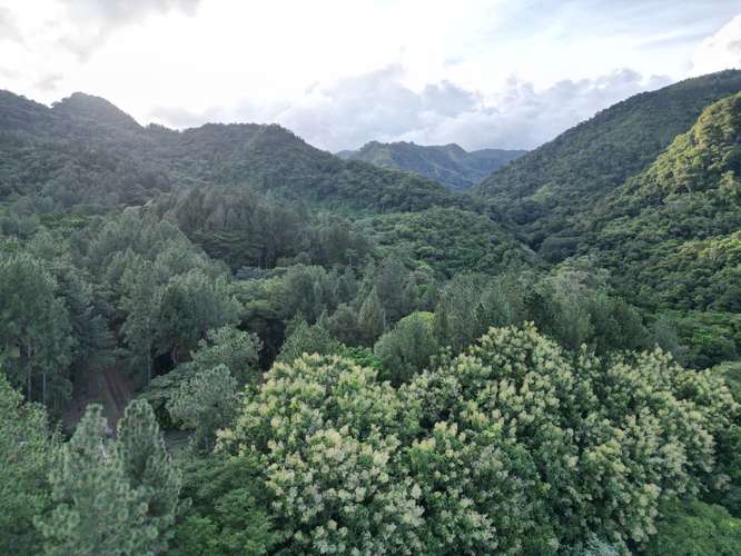 Venta de Terreno en Altos del María, 1,781 m² - Imagen 3