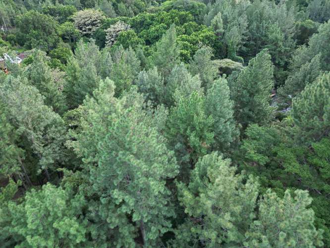 Venta de Terreno en Altos del María, 1,781 m² - Imagen 7