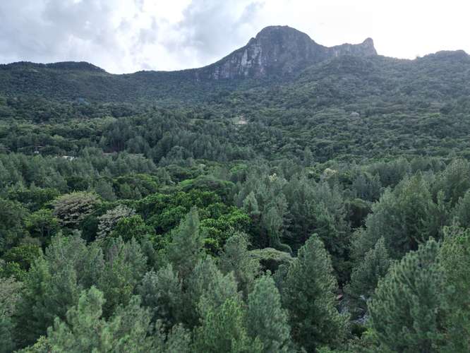 Venta de Terreno en Altos del María, 1,781 m² - Imagen 5