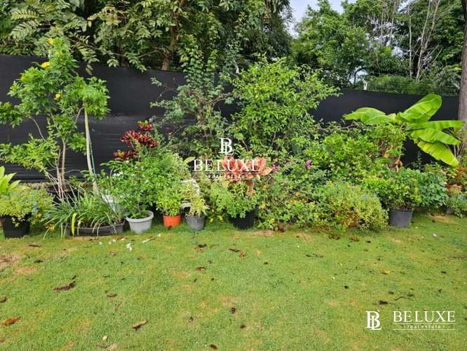 VENTA DE CASA PH BOUGANVILLA CHAME NUEVA GORGONA (6) - Imagen 11