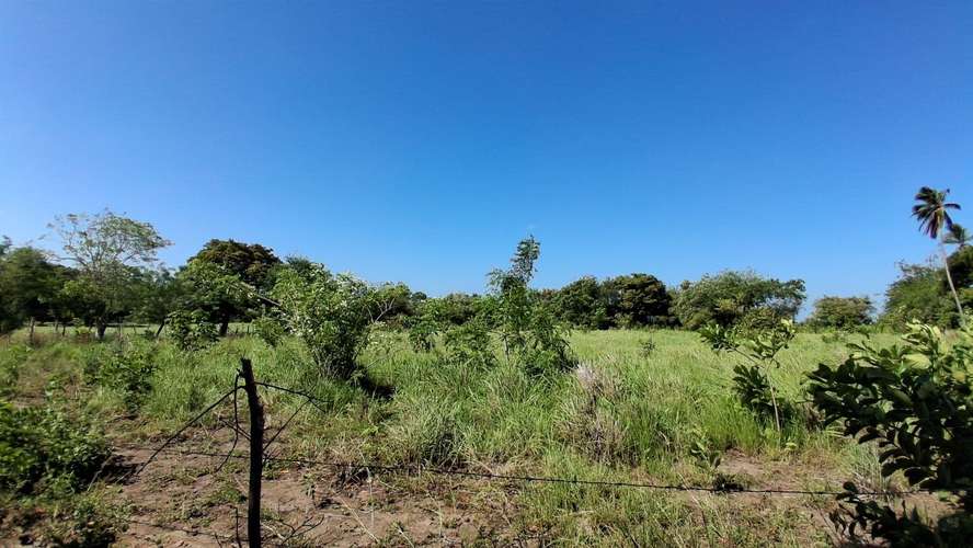 Terreno en El Chiru, 3200 m, Cercado. $60,000 - Imagen 7