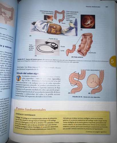Libro de anatomía Moore