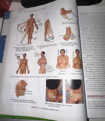 Libro de anatomía Moore
