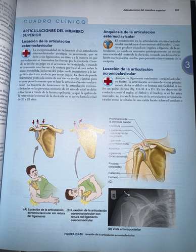 Libro de anatomía Moore