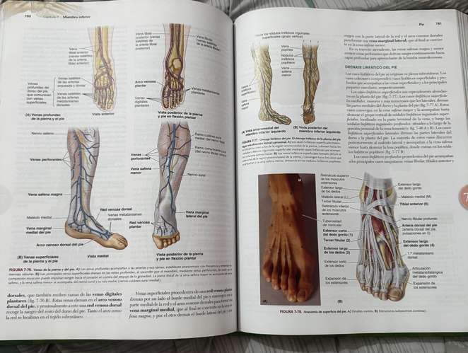 Libro de anatomía Moore