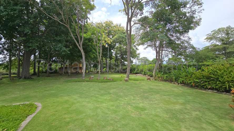 Terreno de 1.3 Hectareas y 65 m Frente Al Océano | Luxury Oceanfront Estate – 65 m Beachfront | Rio Hato  27EPP3122 - Imagen 8