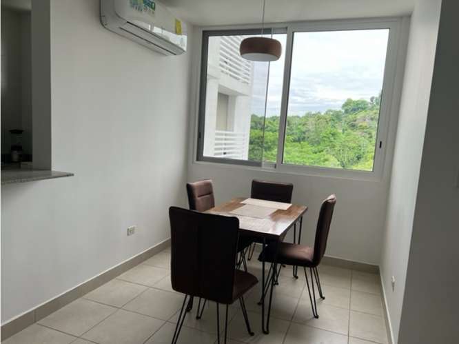 ALQUILO APARTAMENTO AMUEBLADO PH PENINSULA NORTE BRISAS DEL GOLF - Imagen 9