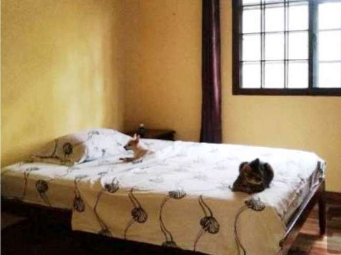 SE ALQUILA CASA EN LOS ALTOS DE CERRO AZUL - Imagen 9