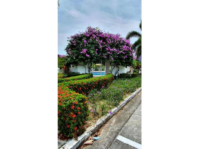 Se Alquila apartamento en PH Rodman, Bijao (MZ) - Imagen 3