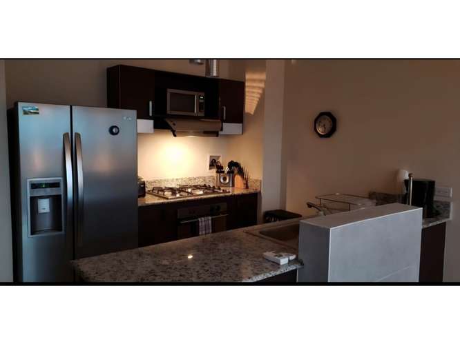 Alquilo apartamento en PH Vitro Loft - Imagen 6