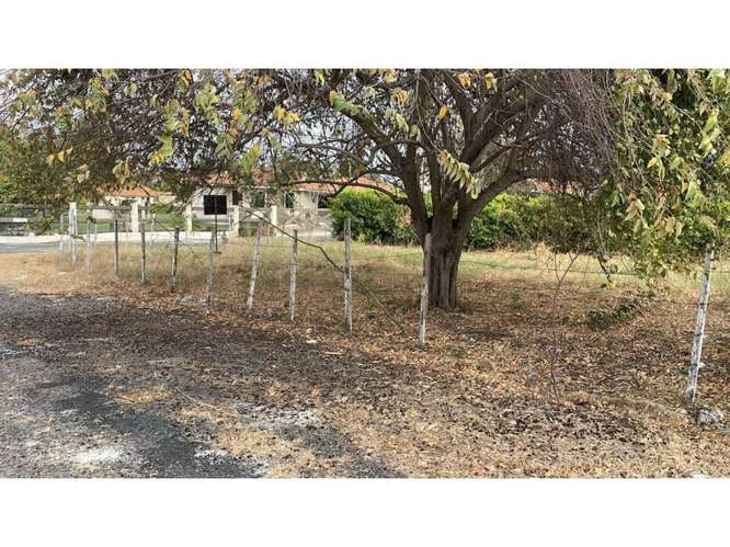 SE VENDE TERRENO 1412M EN CORONADO  PLANO EN ESQUINA CON POSO DE AGUA - Imagen 15