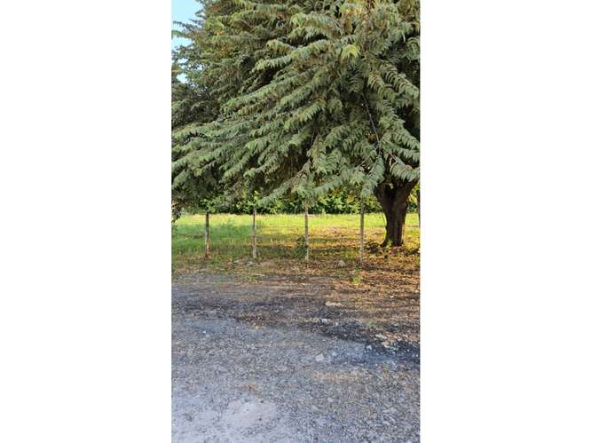 CORONADO / TERRENO / 1412 M2 / PLANO / ESQUINA / POSO DE AGUA - Imagen 13