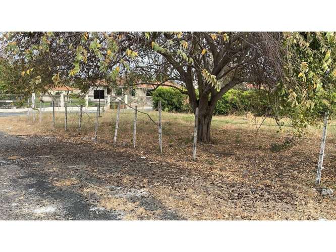 CORONADO / TERRENO / 1412 M2 / PLANO / ESQUINA / POSO DE AGUA - Imagen 3
