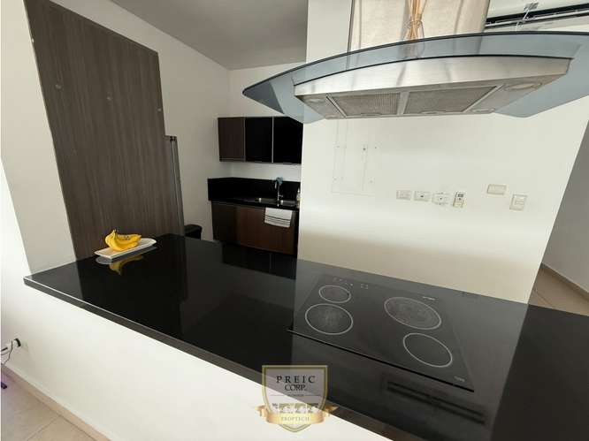 Alquilo apartamento amoblado en Av Balboa Rivage L.T - Imagen 6