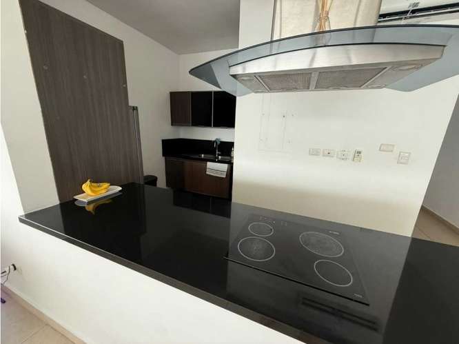 ALQUILO Apartamento PH RiVAGE - AVE BALBOA* 
*Vista al Mar* - Imagen 8
