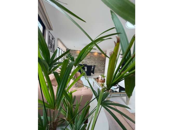 Alquilo bello apartamento amoblado en San Francisco 1200$ - Imagen 4