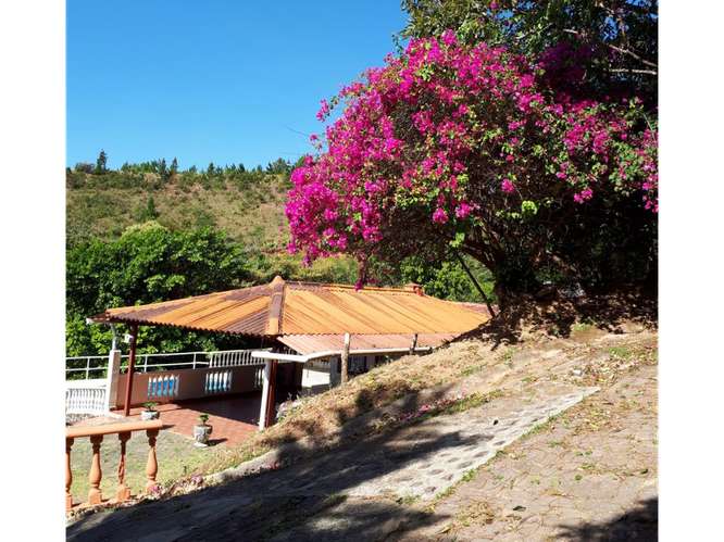 SE ALQUILA HERMOSA CASA 240 M2 EN SAN CARLOS VIA A LA LAGUNA AMOBLADA