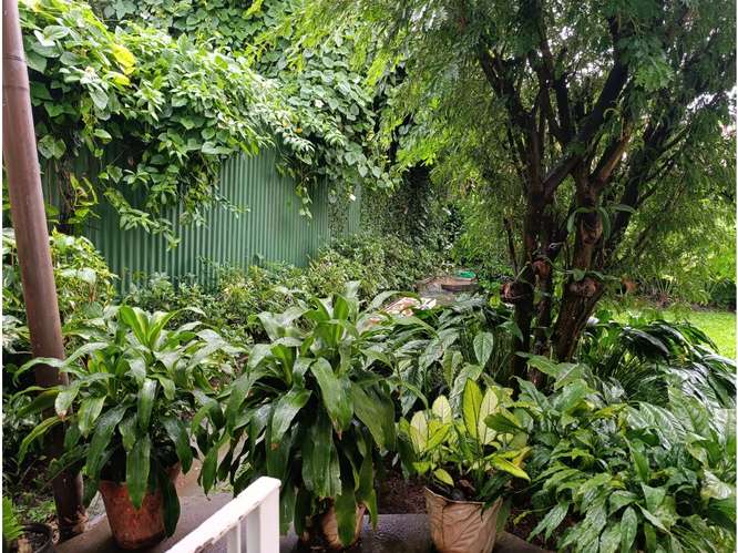 Casa en venta, El Carmen, Panamá | con piscina y local comercial | ES - Imagen 9
