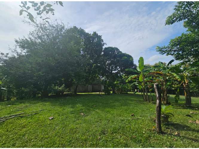 TERRENO VENTA EN SAN CARLOS,PRECIO POR DEBAJO DEL MERCADO (MZ) - Imagen 5