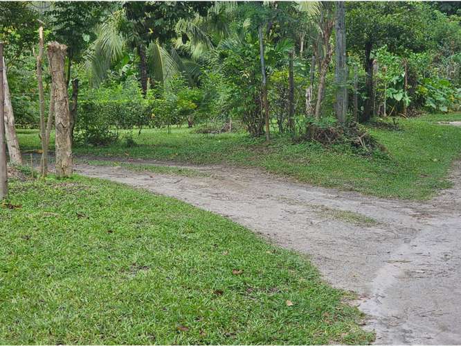 TERRENO VENTA EN SAN CARLOS,PRECIO POR DEBAJO DEL MERCADO (MZ) - Imagen 2