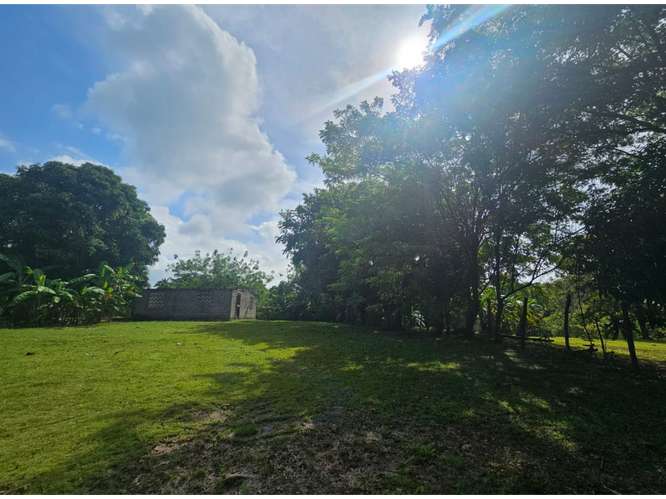 TERRENO VENTA EN SAN CARLOS,PRECIO POR DEBAJO DEL MERCADO (MZ) - Imagen 3