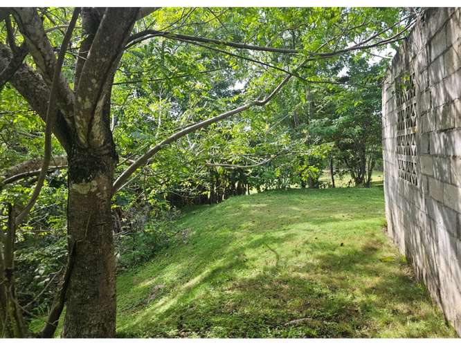 TERRENO VENTA EN SAN CARLOS,PRECIO POR DEBAJO DEL MERCADO (MZ) - Imagen 6